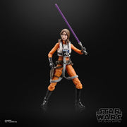 Star Wars The Black Series Jaina Solo & Jacen Solo